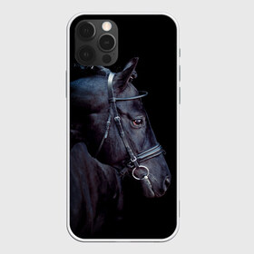 Чехол для iPhone 12 Pro Max с принтом Конь вороной в Кировске, Силикон |  | animal | beautiful | black | eyes | gloss | hairstyle | harness | horse | look | muzzle | взгляд | вороной | глаза | животное | конь | красивый | лоск | лошадь | прическа | сбруя | скакун | черный