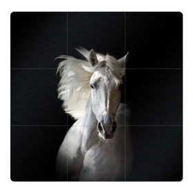 Магнитный плакат 3Х3 с принтом Белая лошадь в Кировске, Полимерный материал с магнитным слоем | 9 деталей размером 9*9 см | animal | beautiful | black | eyes | gloss | grace | harness | horse | look | mane | muzzle | strength | white | белая | взгляд | глаза | грация | грива | животное | конь | красивый | лоск | лошадь | сбруя | сила | скакун