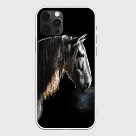 Чехол для iPhone 12 Pro Max с принтом Серный в яблоках конь в Кировске, Силикон |  | Тематика изображения на принте: animal | beautiful | black | eyes | gloss | harness | horse | look | muzzle | portrait | в яблоках | взгляд | глаза | животное | конь | красивый | лоск | лошадь | портрет | сбруя | серый | скакун