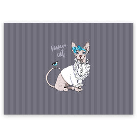 Поздравительная открытка с принтом Fashion cat в Кировске, 100% бумага | плотность бумаги 280 г/м2, матовая, на обратной стороне линовка и место для марки
 | bird | bow | breed | cat | glamor | look | muzzle | sphinx | style | tail | бант | взгляд | гламур | кошка | порода | птица | стиль | сфинкс | хвост