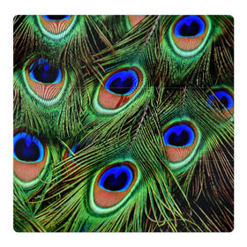 Магнитный плакат 3Х3 с принтом Перья павлина #1 в Кировске, Полимерный материал с магнитным слоем | 9 деталей размером 9*9 см | animal | bird | peacock feathers | животные | павлин | перо. | перья | птица