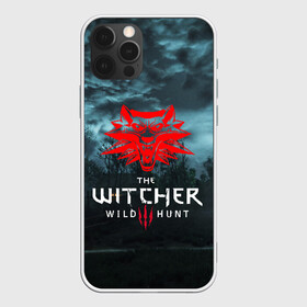 Чехол для iPhone 12 Pro с принтом THE WITCHER 3:WILD HUNT в Кировске, силикон | область печати: задняя сторона чехла, без боковых панелей | cd projekt red | ciri | game | geralt | geralt of rivia | gwynbleidd | the witcher | the witcher 3: wild hunt | ведьмак | ведьмак 3: дикая охота | геральт | геральт из ривии | цири | цирилла