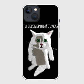 Чехол для iPhone 13 с принтом Кот Гопник в Кировске,  |  | cat | гопник | злой кот | интернет приколы | кот | котик | кошак | мем | мемы | надпись | рисунок