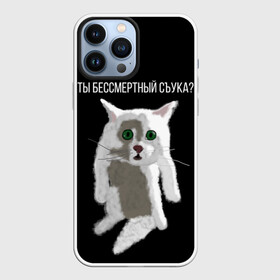Чехол для iPhone 13 Pro Max с принтом Кот Гопник в Кировске,  |  | cat | гопник | злой кот | интернет приколы | кот | котик | кошак | мем | мемы | надпись | рисунок