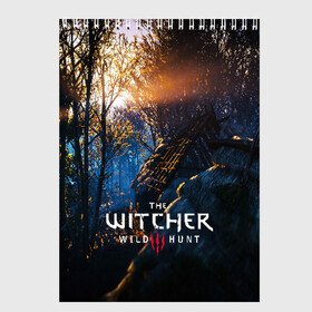 Скетчбук с принтом THE WITCHER 3WILD HUNT в Кировске, 100% бумага
 | 48 листов, плотность листов — 100 г/м2, плотность картонной обложки — 250 г/м2. Листы скреплены сверху удобной пружинной спиралью | cd projekt red | ciri | game | geralt | geralt of rivia | gwynbleidd | the witcher | the witcher 3: wild hunt | ведьмак | ведьмак 3: дикая охота | геральт | геральт из ривии | цири | цирилла