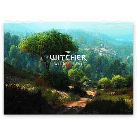 Поздравительная открытка с принтом THE WITCHER 3:WILD HUNT в Кировске, 100% бумага | плотность бумаги 280 г/м2, матовая, на обратной стороне линовка и место для марки
 | cd projekt red | ciri | game | geralt | geralt of rivia | gwynbleidd | the witcher | the witcher 3: wild hunt | ведьмак | ведьмак 3: дикая охота | геральт | геральт из ривии | цири | цирилла