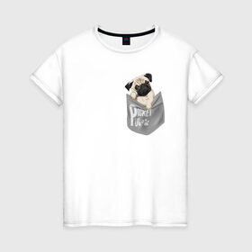 Женская футболка хлопок с принтом Мопс в кармане в Кировске, 100% хлопок | прямой крой, круглый вырез горловины, длина до линии бедер, слегка спущенное плечо | pug | карман | карманный мопс | малыш | милый | мопс | пес | песик | собака | собачка