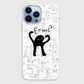 Чехол для iPhone 13 Pro Max с принтом ЪУЪ СЪУКА Emc2 в Кировске,  |  | cat | emc 2 | emc2 | mem | memes | truxkot19 | знаменитые формулы | интернет приколы | кот | мем | мем кот | физика | формулы | ъуъ | ъуъ съука | эйнштейн