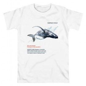 Мужская футболка хлопок с принтом Hampback whale в Кировске, 100% хлопок | прямой крой, круглый вырез горловины, длина до линии бедер, слегка спущенное плечо. | animals | red book | red list | животные | животные из красной книги | красная книга | редкие животные