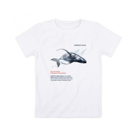 Детская футболка хлопок с принтом Hampback whale в Кировске, 100% хлопок | круглый вырез горловины, полуприлегающий силуэт, длина до линии бедер | animals | red book | red list | животные | животные из красной книги | красная книга | редкие животные