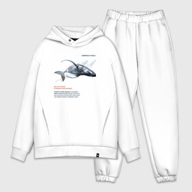 Мужской костюм хлопок OVERSIZE с принтом Hampback whale в Кировске,  |  | animals | red book | red list | животные | животные из красной книги | красная книга | редкие животные