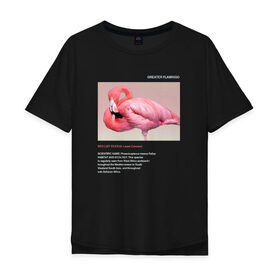 Мужская футболка хлопок Oversize с принтом Greater Flamingo в Кировске, 100% хлопок | свободный крой, круглый ворот, “спинка” длиннее передней части | animals | red book | red list | животные | животные из красной книги | красная книга | редкие животные | фламинго