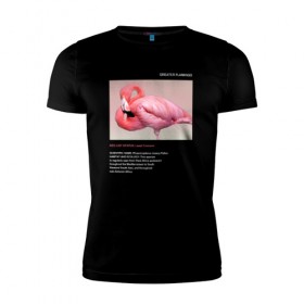 Мужская футболка премиум с принтом Greater Flamingo в Кировске, 92% хлопок, 8% лайкра | приталенный силуэт, круглый вырез ворота, длина до линии бедра, короткий рукав | animals | red book | red list | животные | животные из красной книги | красная книга | редкие животные | фламинго
