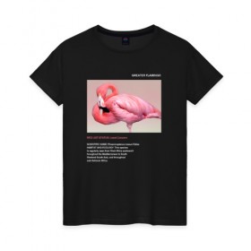 Женская футболка хлопок с принтом Greater Flamingo в Кировске, 100% хлопок | прямой крой, круглый вырез горловины, длина до линии бедер, слегка спущенное плечо | animals | red book | red list | животные | животные из красной книги | красная книга | редкие животные | фламинго