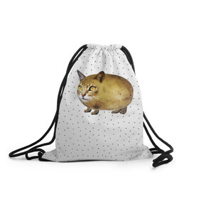 Рюкзак-мешок 3D с принтом ЧИЛИПИ*ДРИК в Кировске, 100% полиэстер | плотность ткани — 200 г/м2, размер — 35 х 45 см; лямки — толстые шнурки, застежка на шнуровке, без карманов и подкладки | internet | meme | memes | pikabu | интернет | картофель | картошка | киса | киска | кот | котенок | котик | коты | котята | кошки | мем | мемас | мемасы | мемы | пикабу | прикол | приколы | чикибряк | шутка | юмор