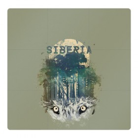 Магнитный плакат 3Х3 с принтом Siberia в Кировске, Полимерный материал с магнитным слоем | 9 деталей размером 9*9 см | forest | siberia | siberian | wolf | волк | лес | природа | сибирь | тайга | хищник