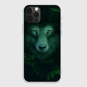 Чехол для iPhone 12 Pro Max с принтом Сибирь Лесной волк в Кировске, Силикон |  | Тематика изображения на принте: safesibiria | siberia | алтай | волк | дикий | елки | ель | лес | охота | сибирь | сибирь горит | сибирьгорит | спаситесибирь | тайга | шерегеш | экология