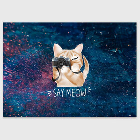 Поздравительная открытка с принтом Say Meow в Кировске, 100% бумага | плотность бумаги 280 г/м2, матовая, на обратной стороне линовка и место для марки
 | meow | кот | котенок | котик | котики | котятка | кошка | мяу | скажи мяу | фотоаппарат | фотограф