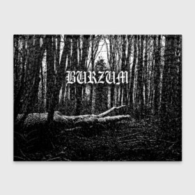 Обложка для студенческого билета с принтом Burzum в Кировске, натуральная кожа | Размер: 11*8 см; Печать на всей внешней стороне | burzum | ghotic | варг викернес | мрак | тьма