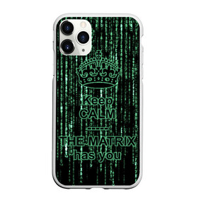 Чехол для iPhone 11 Pro матовый с принтом THE MATRIX HAS YOU в Кировске, Силикон |  | Тематика изображения на принте: matrix | андерсон | киану | код | компьютер. монитор. пк | матрица | послание | ривз | сообщение | томас