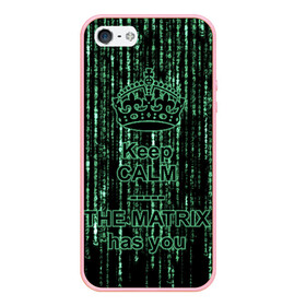 Чехол для iPhone 5/5S матовый с принтом THE MATRIX HAS YOU в Кировске, Силикон | Область печати: задняя сторона чехла, без боковых панелей | matrix | андерсон | киану | код | компьютер. монитор. пк | матрица | послание | ривз | сообщение | томас