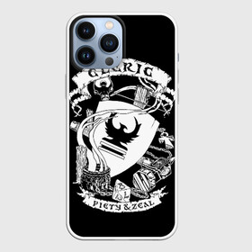 Чехол для iPhone 13 Pro Max с принтом Cleric в Кировске,  |  | Тематика изображения на принте: dd | dungeon  dragons | dungeon and dragons | данжен энд дрэгонс | днд | игра | настольная игра | подземелья и драконы
