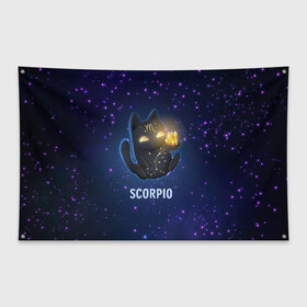 Флаг-баннер с принтом Скорпион в Кировске, 100% полиэстер | размер 67 х 109 см, плотность ткани — 95 г/м2; по краям флага есть четыре люверса для крепления | вселенная | гороскоп | знаки зодиака | зодиак | космос | медитация | планеты