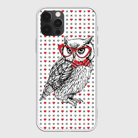 Чехол для iPhone 12 Pro Max с принтом Мудрая сова в очках в Кировске, Силикон |  | бабочки | мудрая | мудрость | наука | начитанная | очки | птица | сова | совенок | совушка | умная