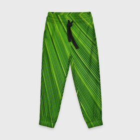 Детские брюки 3D с принтом Зелёный лист в Кировске, 100% полиэстер | манжеты по низу, эластичный пояс регулируется шнурком, по бокам два кармана без застежек, внутренняя часть кармана из мелкой сетки | abstract | абстрактно | абстрактный | абстракция | зеленый | зелень | лист | листок | листья | полоса | полоска | полосы | природа | флора