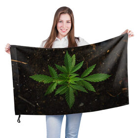 Флаг 3D с принтом Растение в Кировске, 100% полиэстер | плотность ткани — 95 г/м2, размер — 67 х 109 см. Принт наносится с одной стороны | green | зеленый | зелень | земля | листья | почва | природа | природный | растение | растением | растения | флора