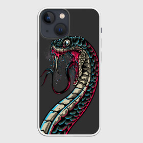 Чехол для iPhone 13 mini с принтом Viper в Кировске,  |  | animals | art | poison | snake | venom | venomous | viper | арт | гадюка | животное | животные | змеи | змей | змея | картинка | картинки | прикольная | прикольные | яд | ядовитая | ядовитый