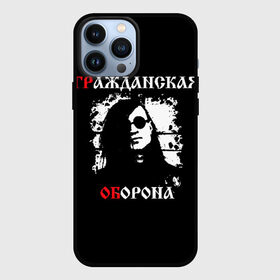 Чехол для iPhone 13 Pro Max с принтом Гр.Об + Анархия (спина) в Кировске,  |  | punk | punks not dead | гр.об. | гражданская оборона | гроб | егор летов | панки | хой