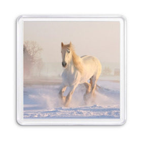 Магнит 55*55 с принтом Белая лошадь на снегу в Кировске, Пластик | Размер: 65*65 мм; Размер печати: 55*55 мм | белая | белый | декабрь | животное | животные | звери | зверь | зима | зимний | зимой | кони | конь | копытные | копытный | лошади | лошадь | снег | снега | снегу | снежный | февраль | январь