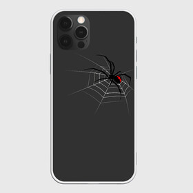 Чехол для iPhone 12 Pro Max с принтом Паук в Кировске, Силикон |  | animal | animals | poison | spider | venom | вдова | животные | каракурт | паук | паутина | паучок | черная | черная вдова | яд