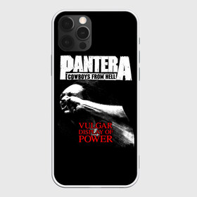 Чехол для iPhone 12 Pro Max с принтом Pantera в Кировске, Силикон |  | american | anselmo | havy metal | pantera | philip anselmo | trash metal | ансельмо | пантера | фил ансельмо