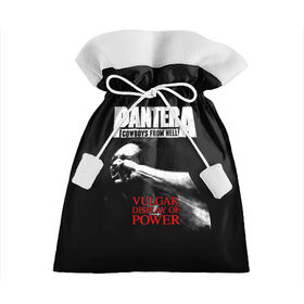 Подарочный 3D мешок с принтом Pantera в Кировске, 100% полиэстер | Размер: 29*39 см | Тематика изображения на принте: american | anselmo | havy metal | pantera | philip anselmo | trash metal | ансельмо | пантера | фил ансельмо