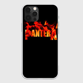 Чехол для iPhone 12 Pro Max с принтом Pantera в Кировске, Силикон |  | american | anselmo | havy metal | pantera | philip anselmo | trash metal | ансельмо | пантера | фил ансельмо