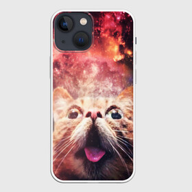 Чехол для iPhone 13 mini с принтом КОТ в Кировске,  |  | cat | cats | животные | киса | киска | кот | котики | коты | котэ | кошка | природа