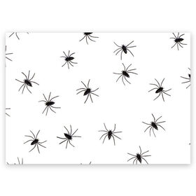 Поздравительная открытка с принтом Пауки в Кировске, 100% бумага | плотность бумаги 280 г/м2, матовая, на обратной стороне линовка и место для марки
 | Тематика изображения на принте: spider | spiders | абстрактный | абстракция | животное | животные | жук | жуки | насекомое | насекомые | паук | паучий | паучки | паучок | природа | фауна