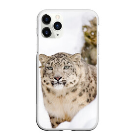 Чехол для iPhone 11 Pro матовый с принтом Ирбис в Кировске, Силикон |  | snow leopard | барс | барсы | животное | животные | звери | зверь | зима | зимы | ирбис | киски | кот | коты | кошачьи | кошка | кошки | мохнатые | мохнатый | пятнистые | пятнистый | снег | снежный
