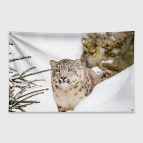 Флаг-баннер с принтом Ирбис в Кировске, 100% полиэстер | размер 67 х 109 см, плотность ткани — 95 г/м2; по краям флага есть четыре люверса для крепления | Тематика изображения на принте: snow leopard | барс | барсы | животное | животные | звери | зверь | зима | зимы | ирбис | киски | кот | коты | кошачьи | кошка | кошки | мохнатые | мохнатый | пятнистые | пятнистый | снег | снежный