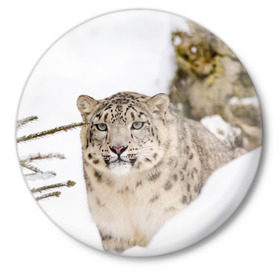 Значок с принтом Ирбис в Кировске,  металл | круглая форма, металлическая застежка в виде булавки | snow leopard | барс | барсы | животное | животные | звери | зверь | зима | зимы | ирбис | киски | кот | коты | кошачьи | кошка | кошки | мохнатые | мохнатый | пятнистые | пятнистый | снег | снежный