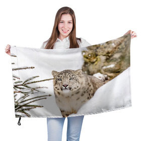 Флаг 3D с принтом Ирбис в Кировске, 100% полиэстер | плотность ткани — 95 г/м2, размер — 67 х 109 см. Принт наносится с одной стороны | snow leopard | барс | барсы | животное | животные | звери | зверь | зима | зимы | ирбис | киски | кот | коты | кошачьи | кошка | кошки | мохнатые | мохнатый | пятнистые | пятнистый | снег | снежный