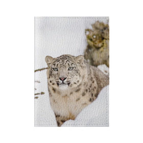 Обложка для паспорта матовая кожа с принтом Ирбис в Кировске, натуральная матовая кожа | размер 19,3 х 13,7 см; прозрачные пластиковые крепления | Тематика изображения на принте: snow leopard | барс | барсы | животное | животные | звери | зверь | зима | зимы | ирбис | киски | кот | коты | кошачьи | кошка | кошки | мохнатые | мохнатый | пятнистые | пятнистый | снег | снежный
