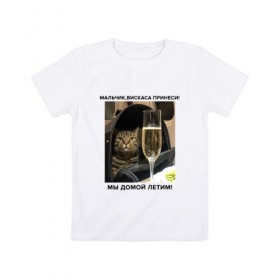 Детская футболка хлопок с принтом Кот-Недолет в Кировске, 100% хлопок | круглый вырез горловины, полуприлегающий силуэт, длина до линии бедер | брат | брат 2 | котики | коты | мемы | мемы с котами