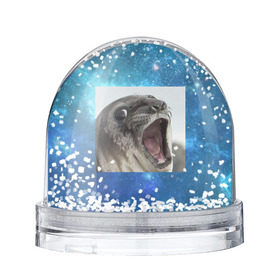 Снежный шар с принтом Тюлень в Кировске, Пластик | Изображение внутри шара печатается на глянцевой фотобумаге с двух сторон | животное | забавный | мем | тюлень | я