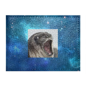 Обложка для студенческого билета с принтом Тюлень  в Кировске, натуральная кожа | Размер: 11*8 см; Печать на всей внешней стороне | животное | забавный | мем | тюлень | я