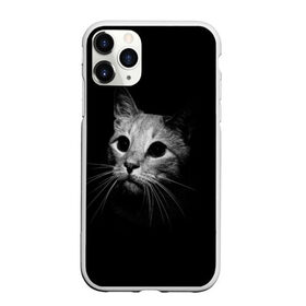 Чехол для iPhone 11 Pro Max матовый с принтом Кошачья морда в Кировске, Силикон |  | кот | кошка | темнота