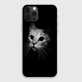 Чехол для iPhone 12 Pro Max с принтом Кошачья морда в Кировске, Силикон |  | кот | кошка | темнота