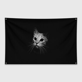 Флаг-баннер с принтом Кошачья морда в Кировске, 100% полиэстер | размер 67 х 109 см, плотность ткани — 95 г/м2; по краям флага есть четыре люверса для крепления | кот | кошка | темнота